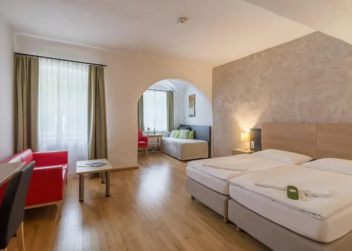 魏森乌弗多瑙河文化会议酒店