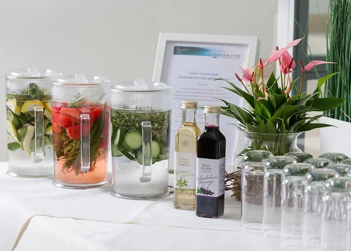 魏森乌弗多瑙河文化会议酒店 酒店