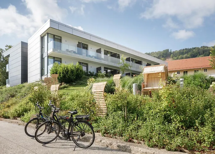 魏森乌弗多瑙河文化会议酒店 酒店 4*