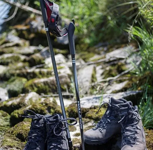 酒店 魏森乌弗多瑙河文化会议酒店 魏森乌弗