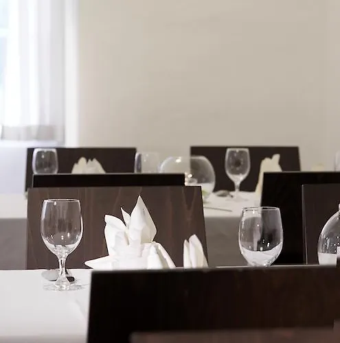 魏森乌弗多瑙河文化会议酒店