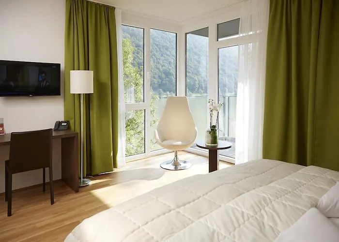 酒店 魏森乌弗多瑙河文化会议酒店 4*